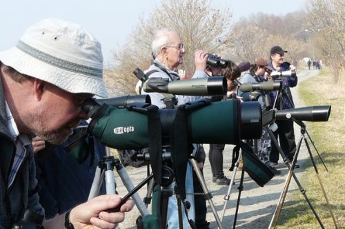 První jarní ornitologická exkurze na Hradeckém rybníku v Tovačově