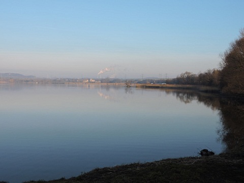 birdwatching lenešice