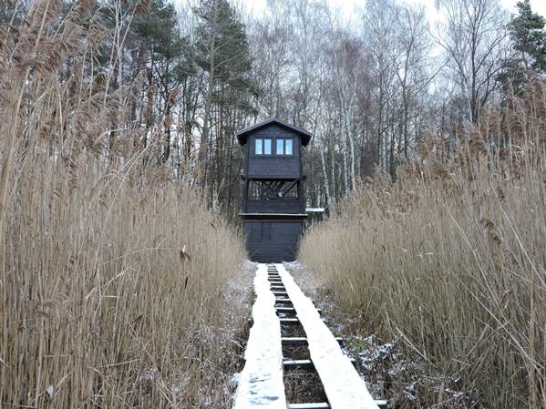 birdwatchin rezabinec zima