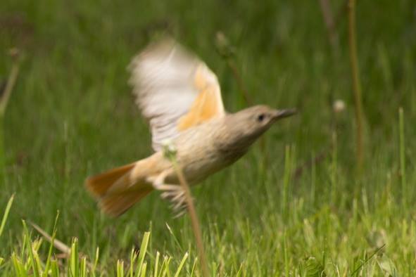 13295264 1078601348887280 361531376 n