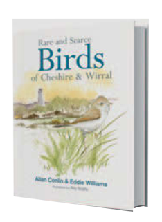 Rare and Scarce Birds of Cheshire