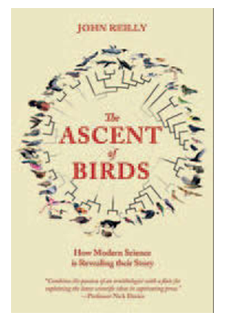 The Ascent of Birds