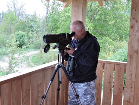 birdwatching moravakveten