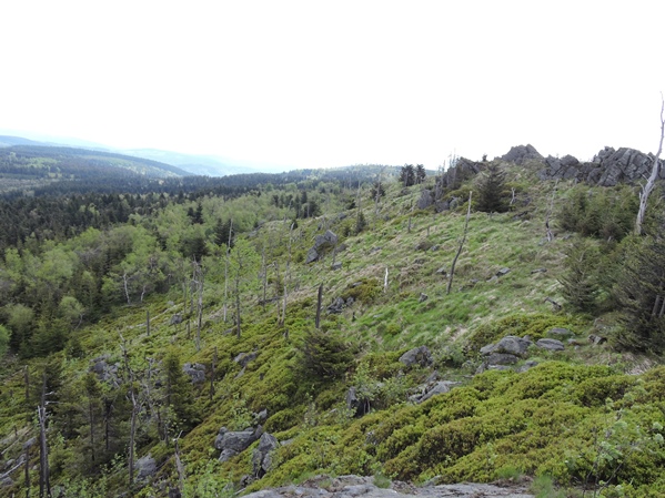 ceska palava 03