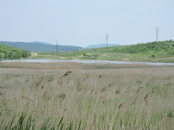 ceska palava 05