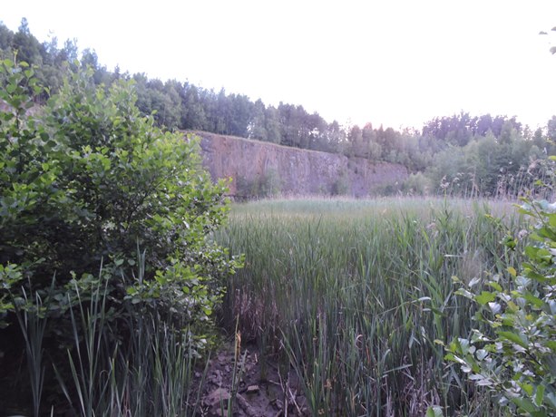 krkonose01