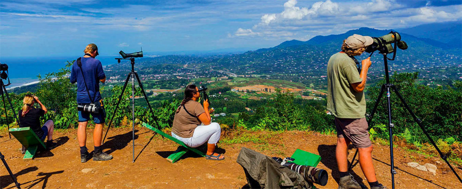 Birdwatching Sledování migrace v Batumi