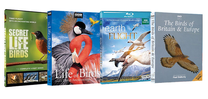 birds life dvd birdwatching