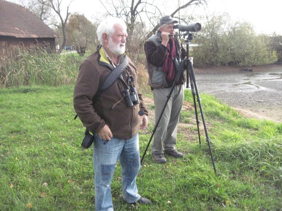 birdwatching libore do textu