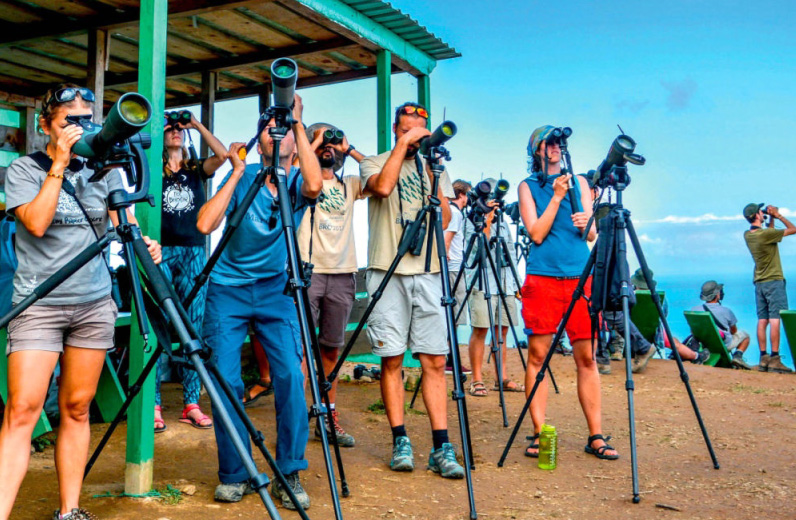 birdwatching batumi