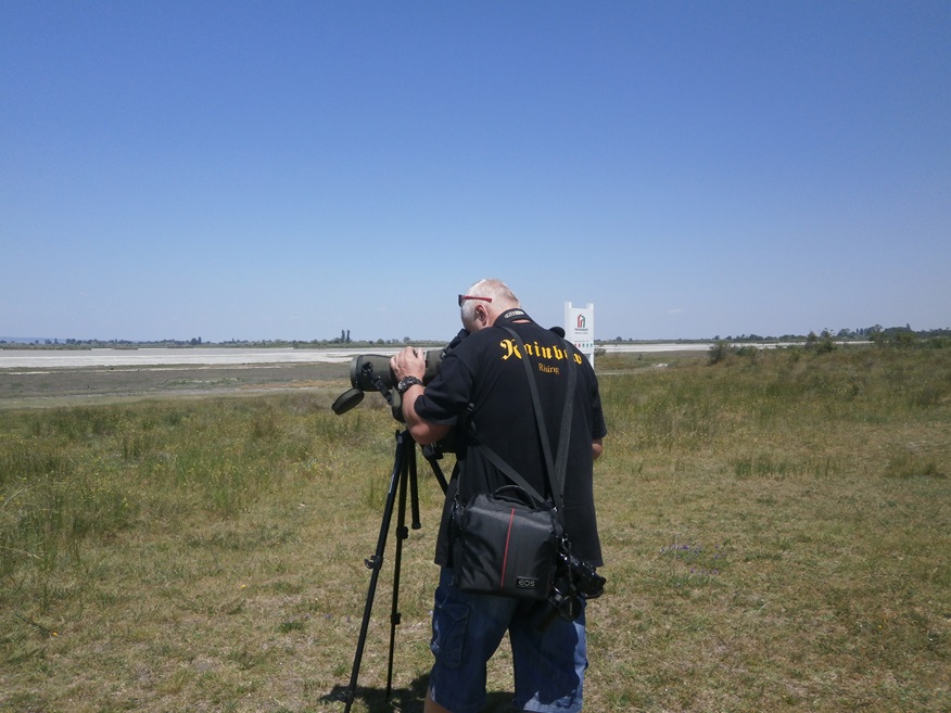 birdwatching nezider 01