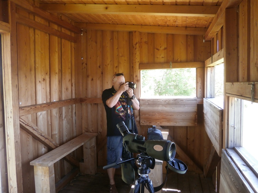 birdwatching nezider 02