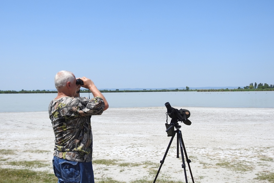 birdwatching nezider 03
