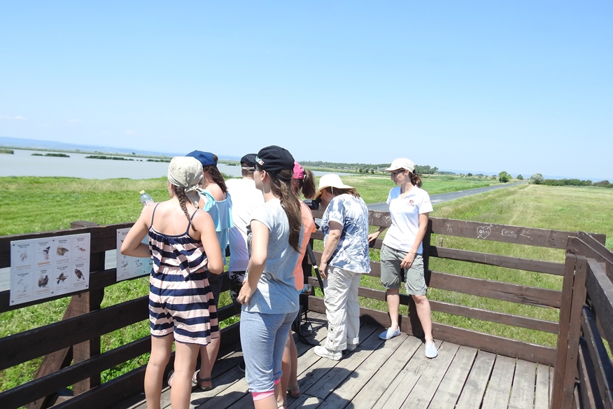 birdwatching nezider 04