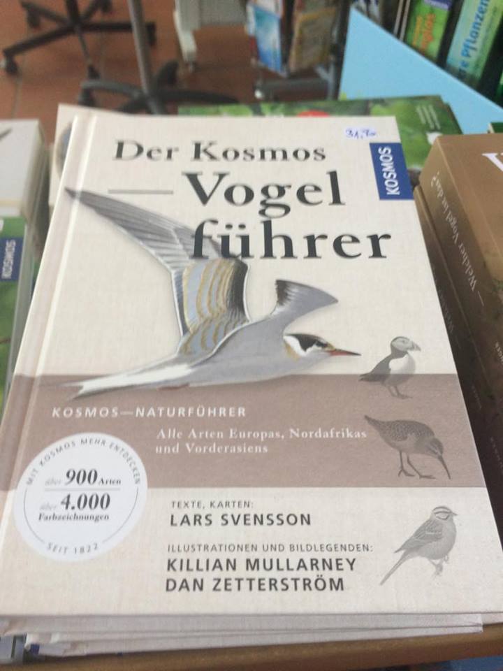 birdwatching nezider 09
