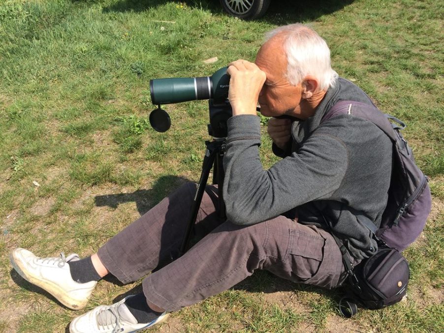 birdwatching pozorovani