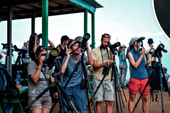 birdwatching prijemne batumi