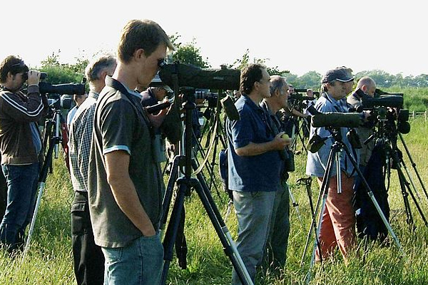 birwatching titulka na web