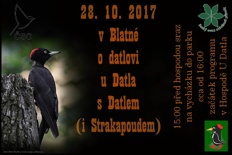 datel titulka