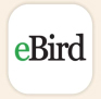 ebird clanek