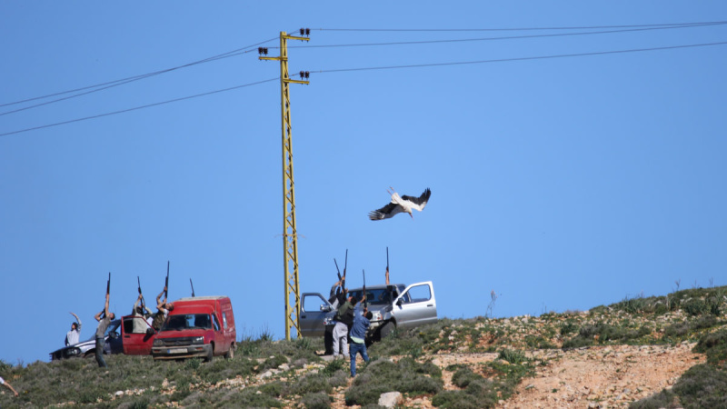 Whitestork Lebanon Fouad Itani 4 1200x675