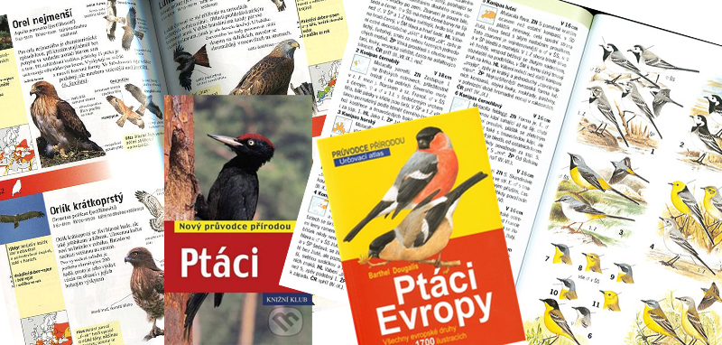 ptaci evropy01