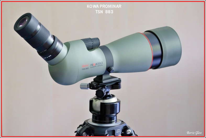 kowa prominar birdwatching02