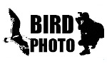birdfoto birdwatching.cz