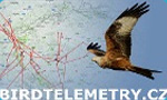 birdtelemetry birdwatching 2018