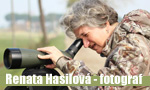 hasilova birdwatching 2018