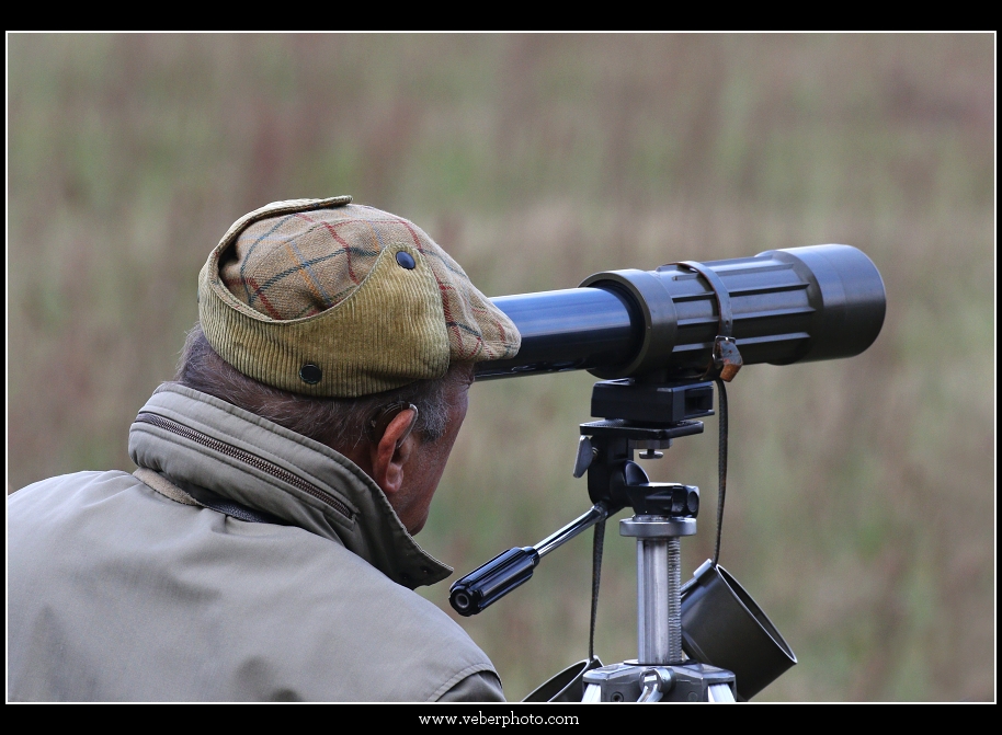 birdwatching.cz jerab popelavy2