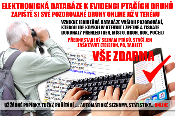 reklama databaze