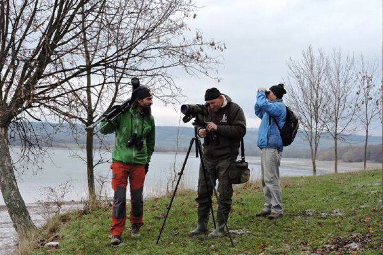 Birdwatcherův archiv 2015