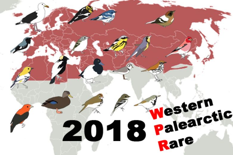 Rarity Western Palearctic 2018