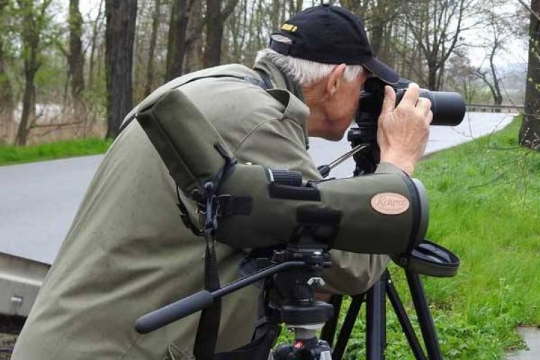 Birdwatcherův archiv 2017