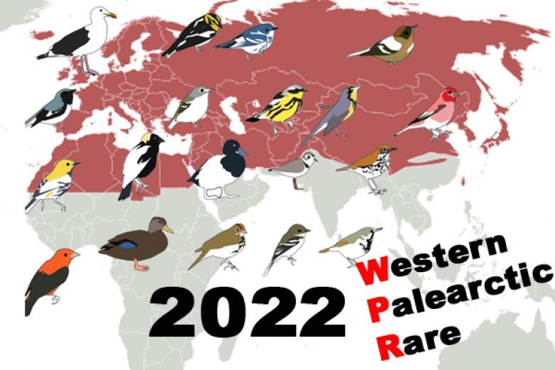 Rarity Western Palearctic 2022