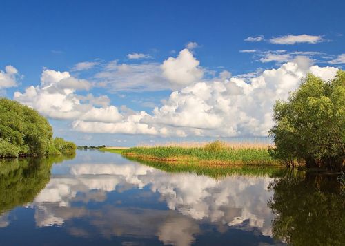 Za ptáky do světa - Délta Dunaje