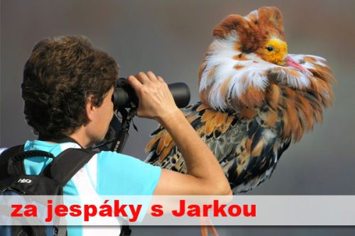 Jespáci ČR