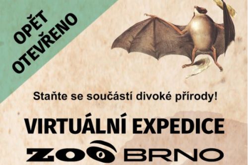 S brněnskou zoo se můžete virtuálně přenést mezi divoká zvířata Afriky