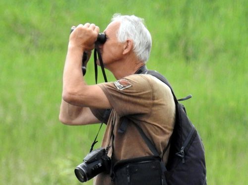 Birdwatching na internetu