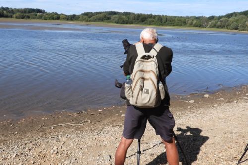 Birding – Jesenice/Borský rybník