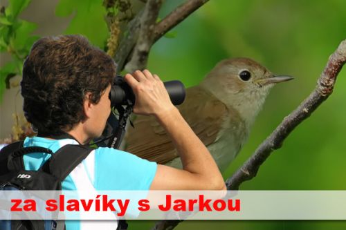 Za slavíky s Jarkou