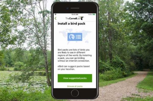 Vstupte do pozorování pomocí eBird Mobile