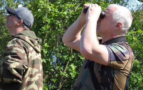 Birdwatching na Moravě