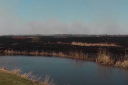 V Polsku hoří ornitologický ráj Biebrzanský národní park