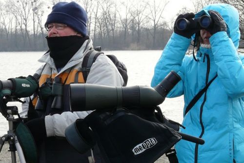 Ornitologové pořádají poslední letošní exkurzi za ptáky v Tovačově