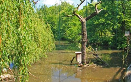 Zoopark Chomutov a pozorování ptactva