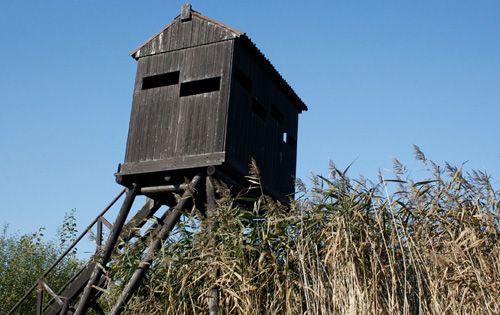 Nedělní maraton na &quot;Východě&quot;