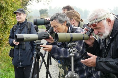 Evropský festival ptactva 2020 proběhne i v Tovačově