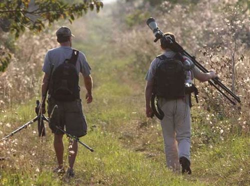 Jak se stát birdwatcherem a proč?